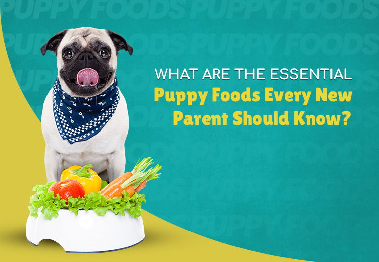 What Are the Essential Puppy Foods Every New Parent Should Know?